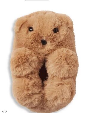 NEW SKIMS Teddy Bear Slippers
